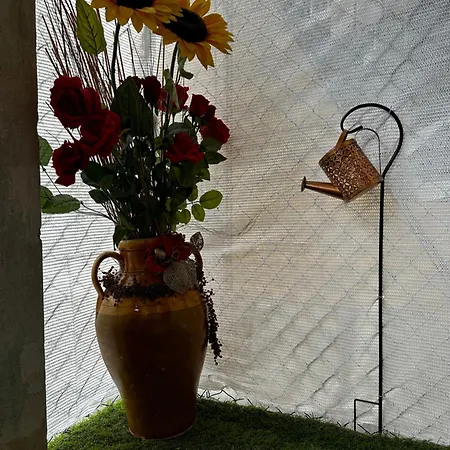 Homestay szállás Civico 56 *